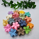Mini Mola Cabelo Floral