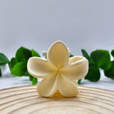 Mini Mola Cabelo Floral