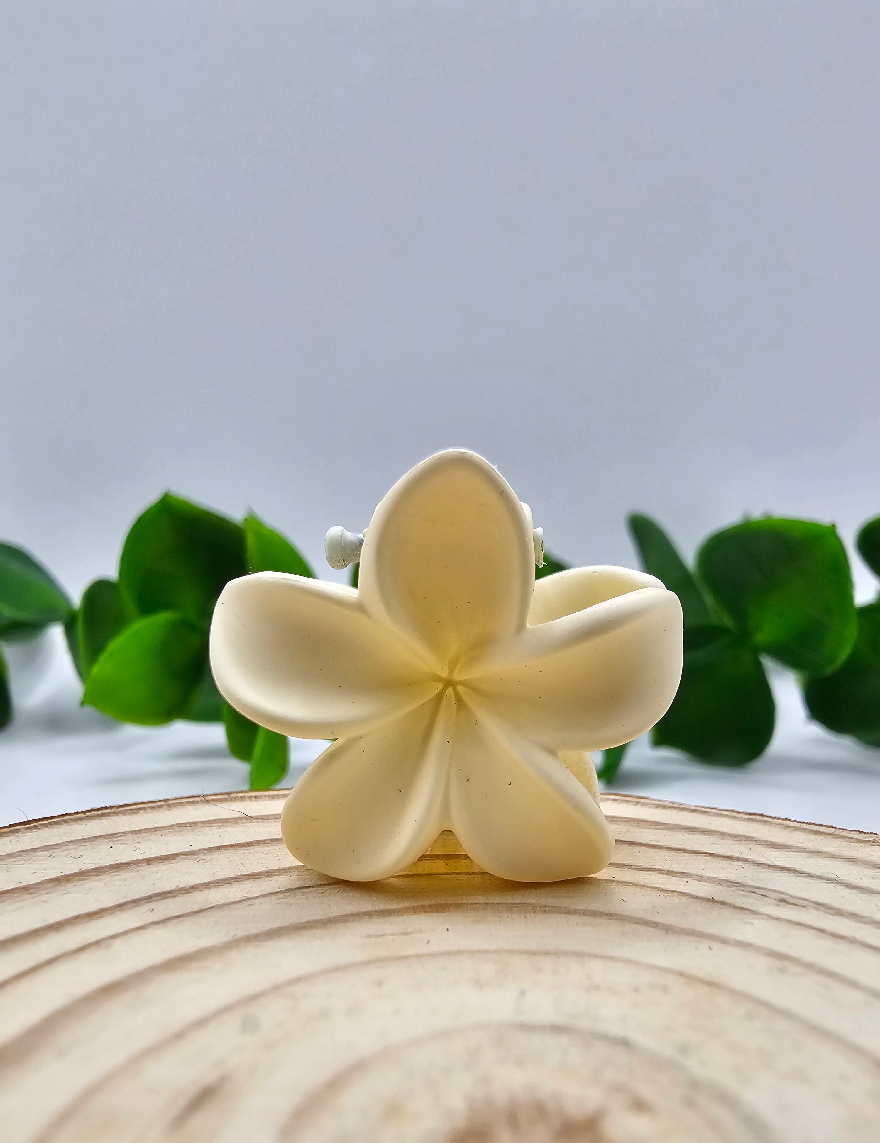Mini Mola Cabelo Floral