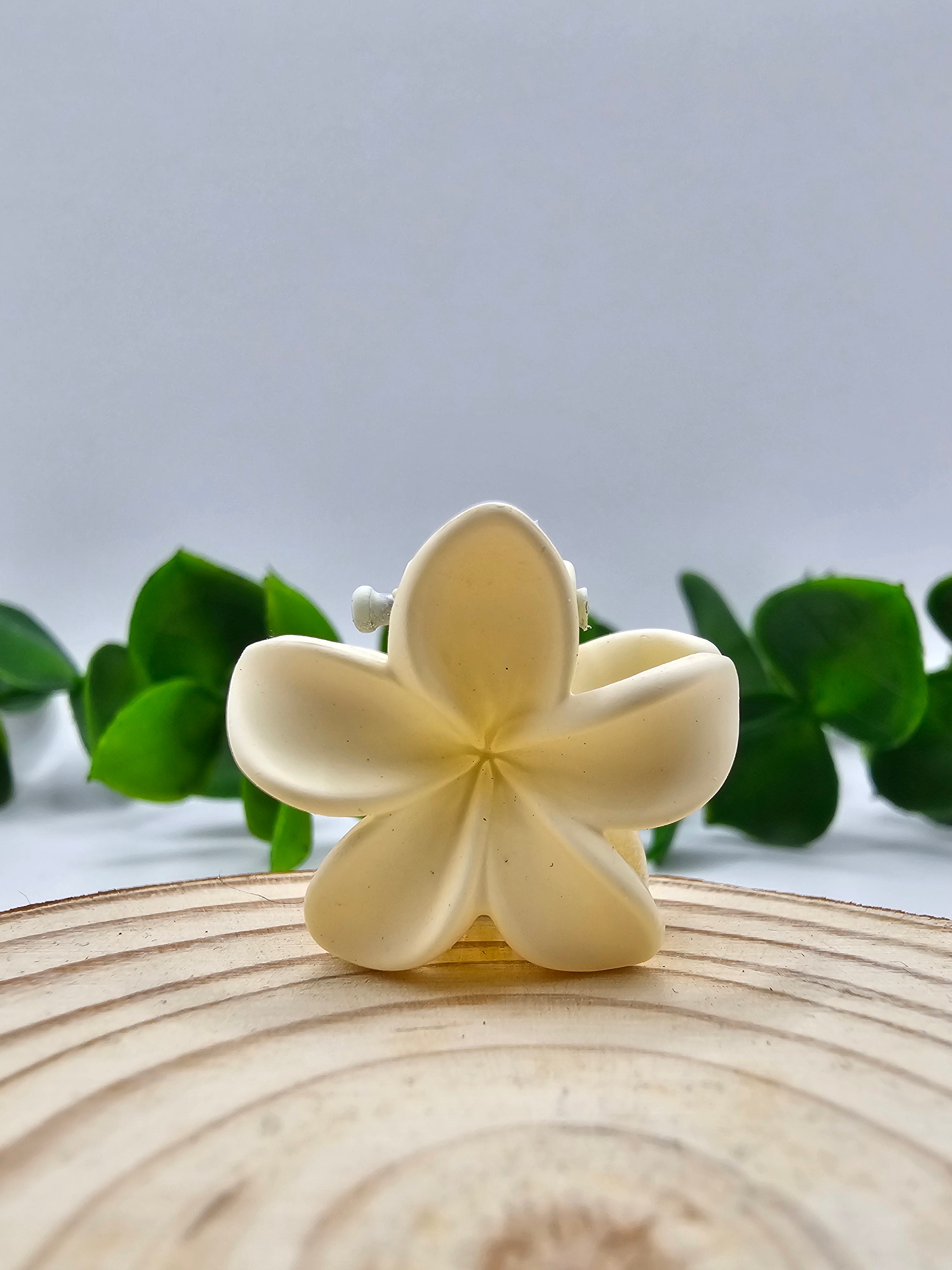 Mini Mola Cabelo Floral