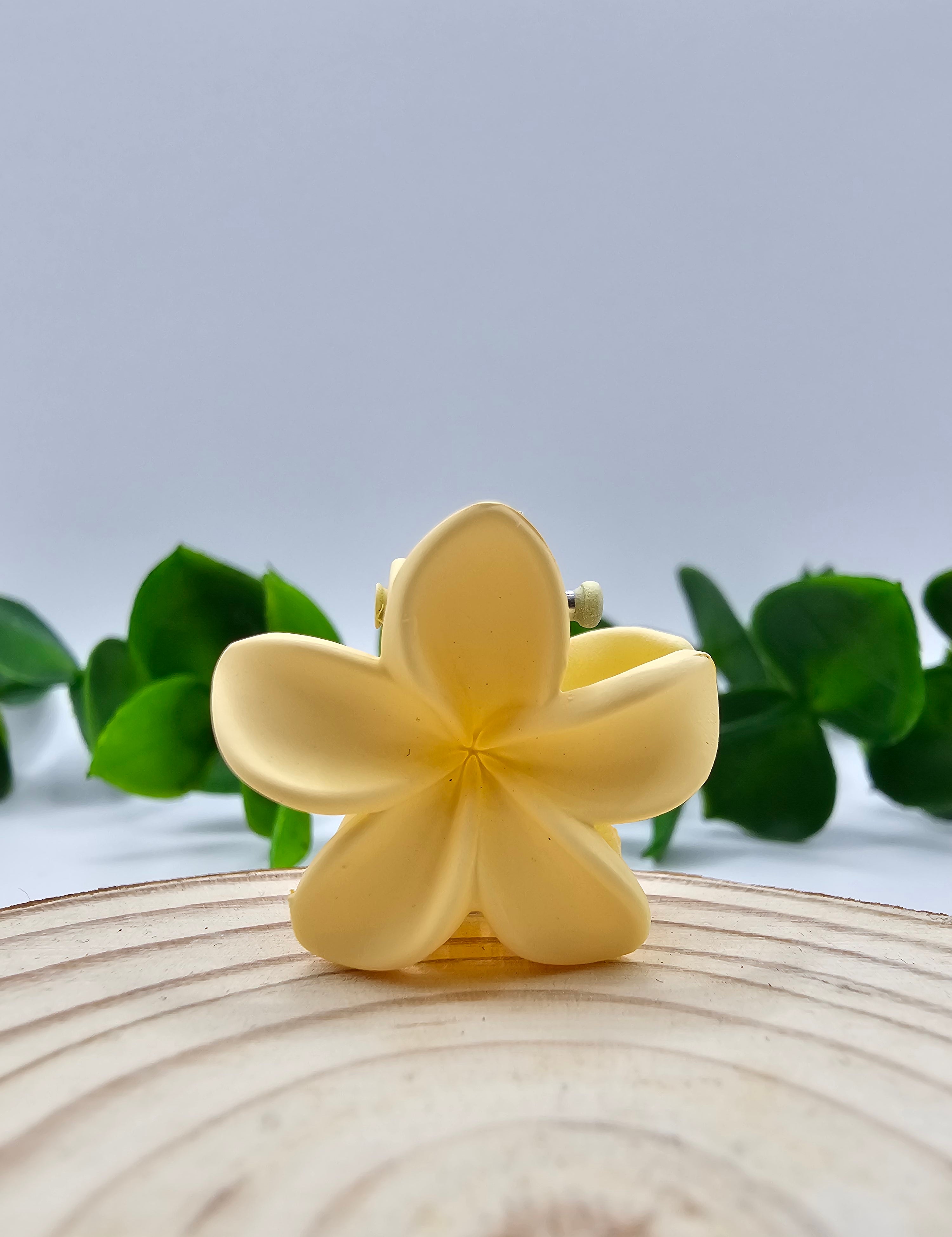 Mini Mola Cabelo Floral
