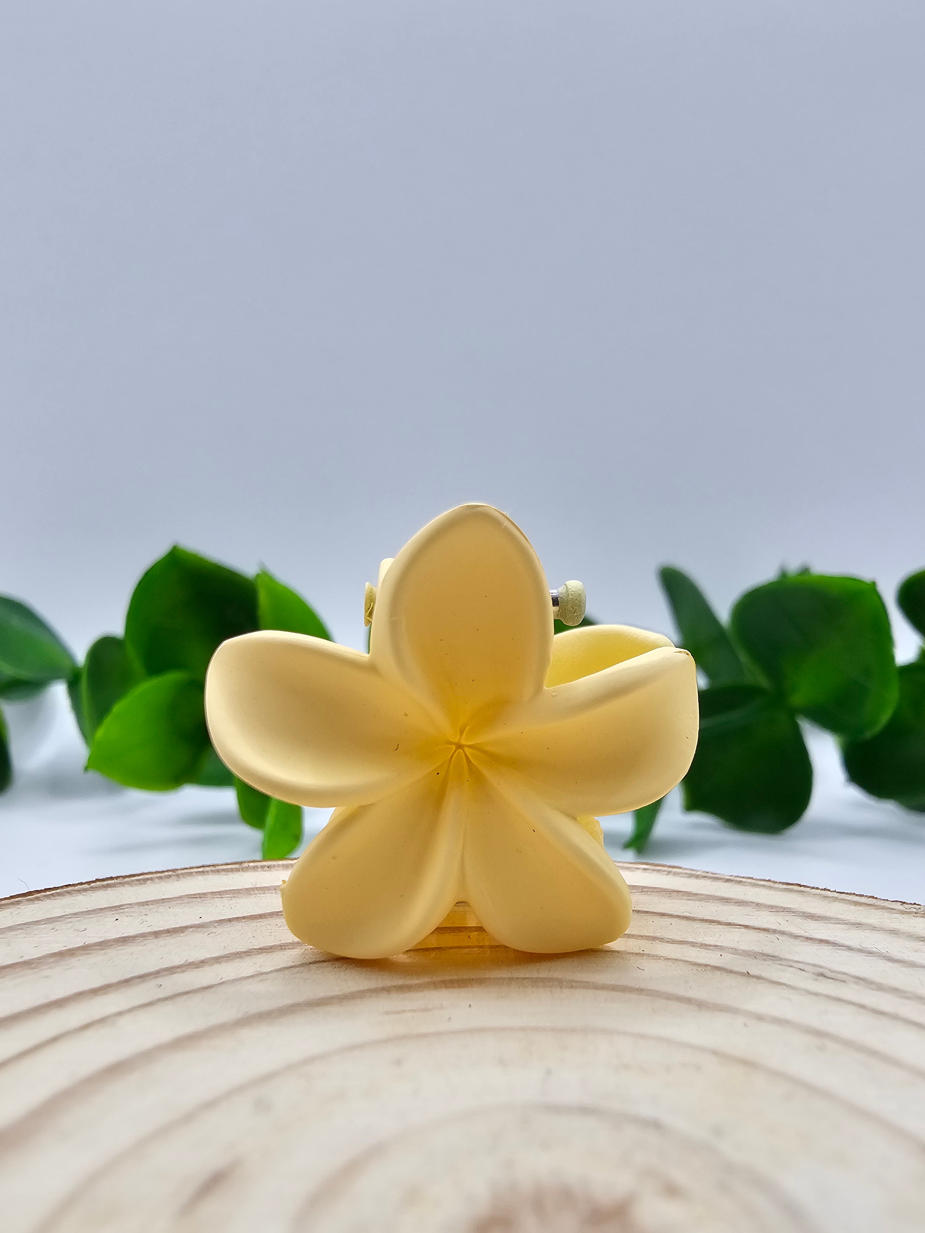 Mini Mola Cabelo Floral