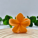 Mini Mola Cabelo Floral