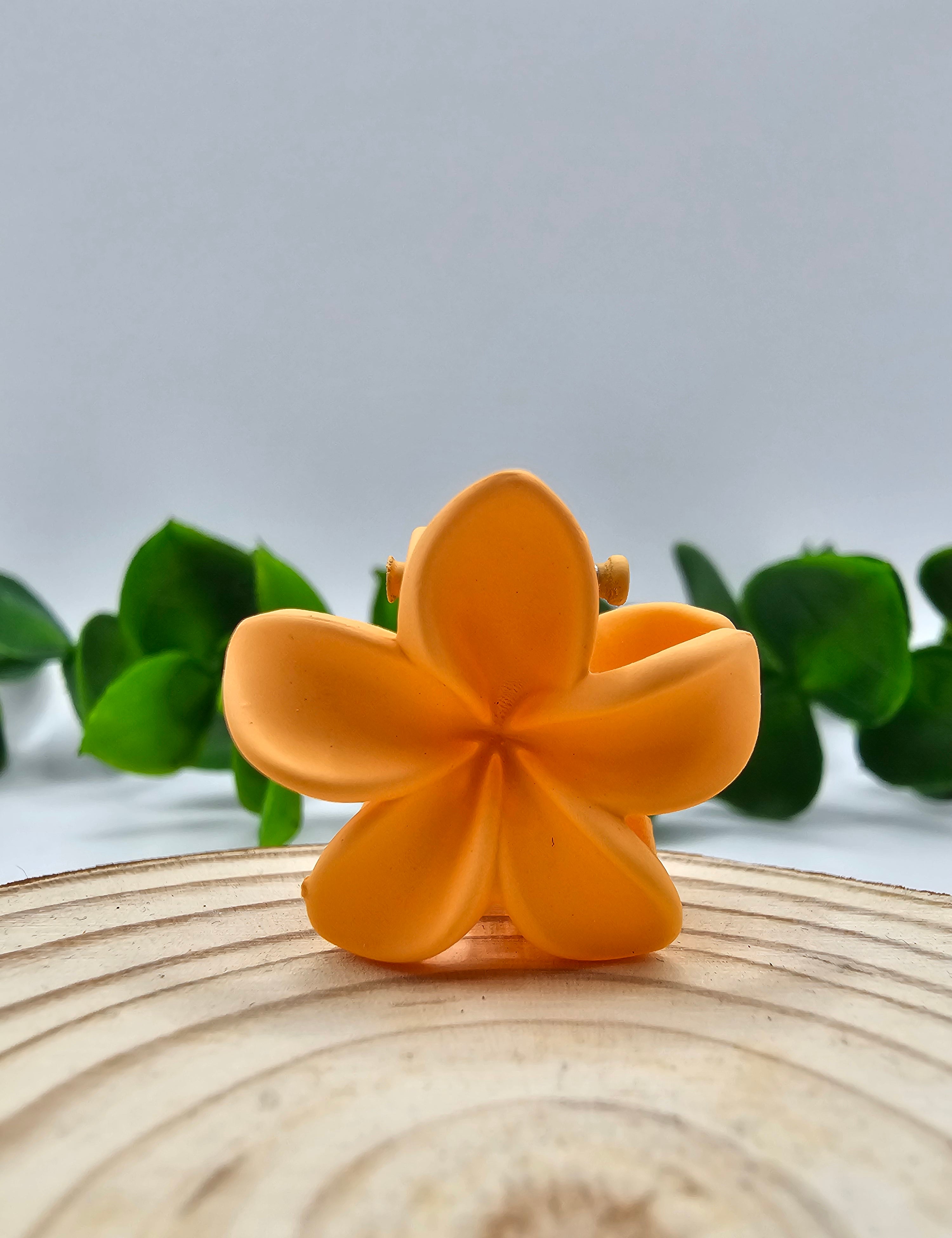 Mini Mola Cabelo Floral