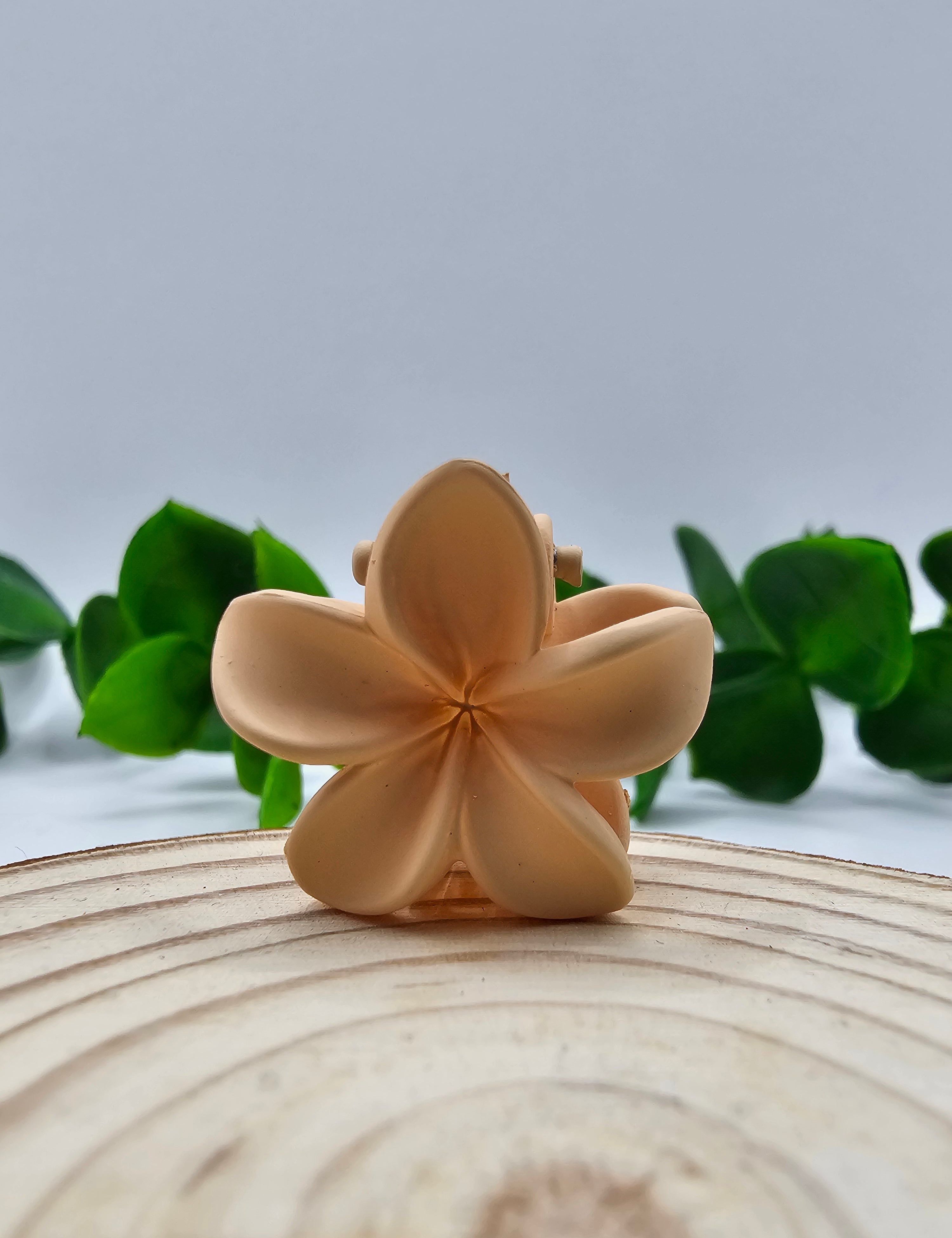 Mini Mola Cabelo Floral