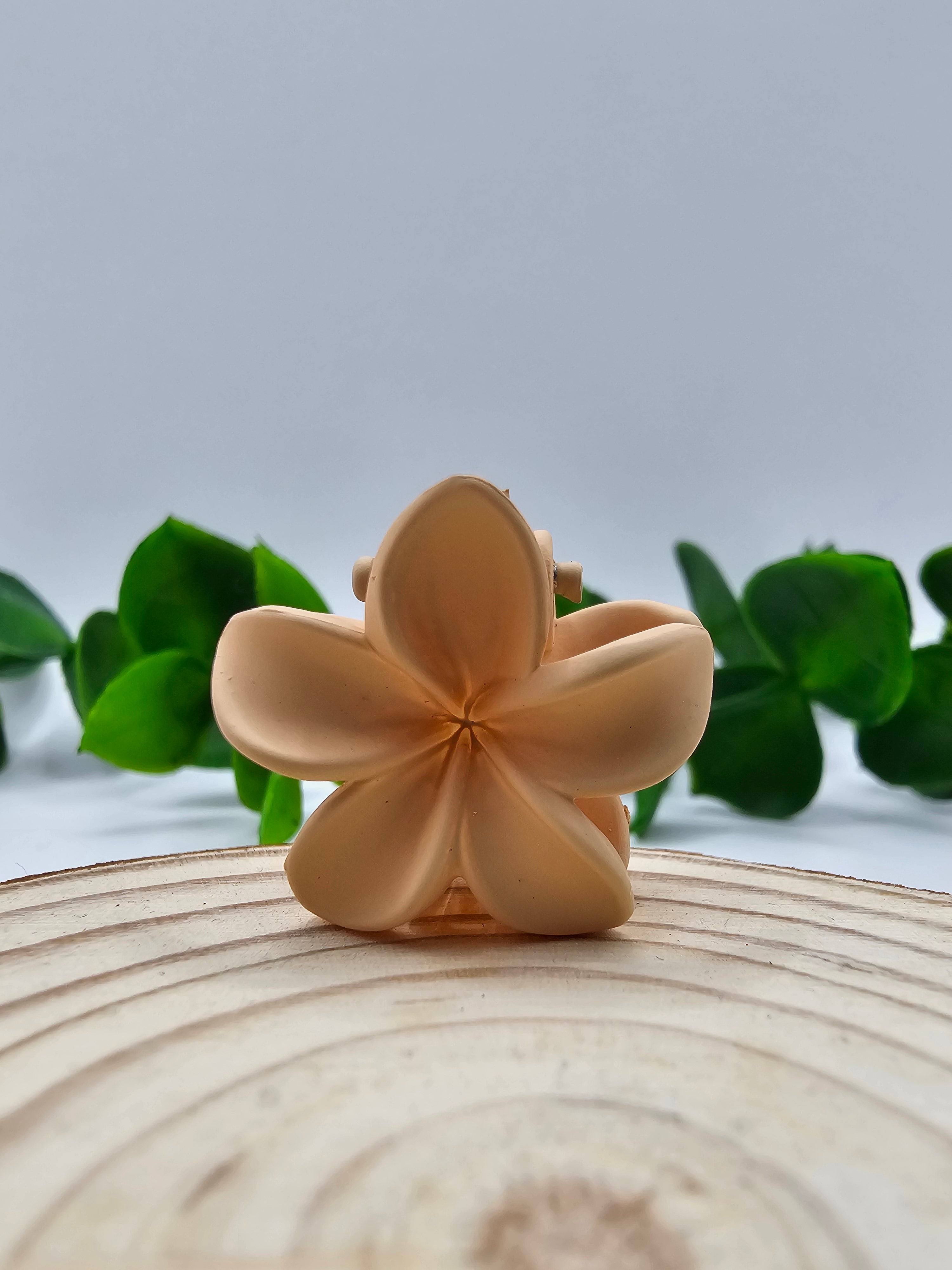 Mini Mola Cabelo Floral