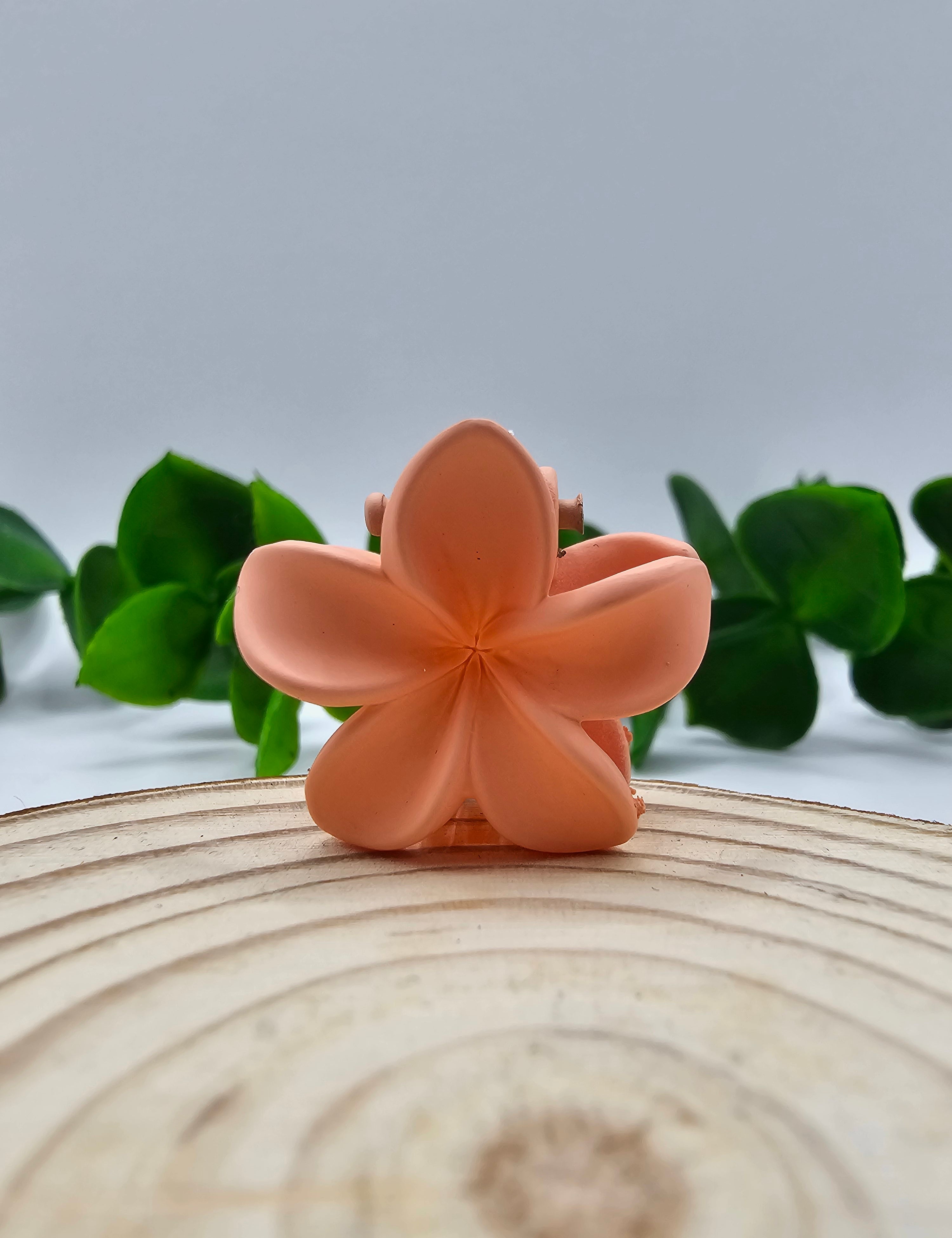 Mini Mola Cabelo Floral