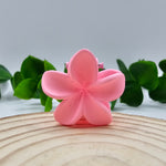 Mini Mola Cabelo Floral