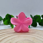 Mini Mola Cabelo Floral