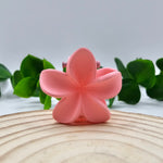 Mini Mola Cabelo Floral