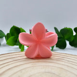 Mini Mola Cabelo Floral