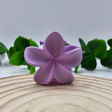 Mini Mola Cabelo Floral