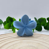 Mini Mola Cabelo Floral
