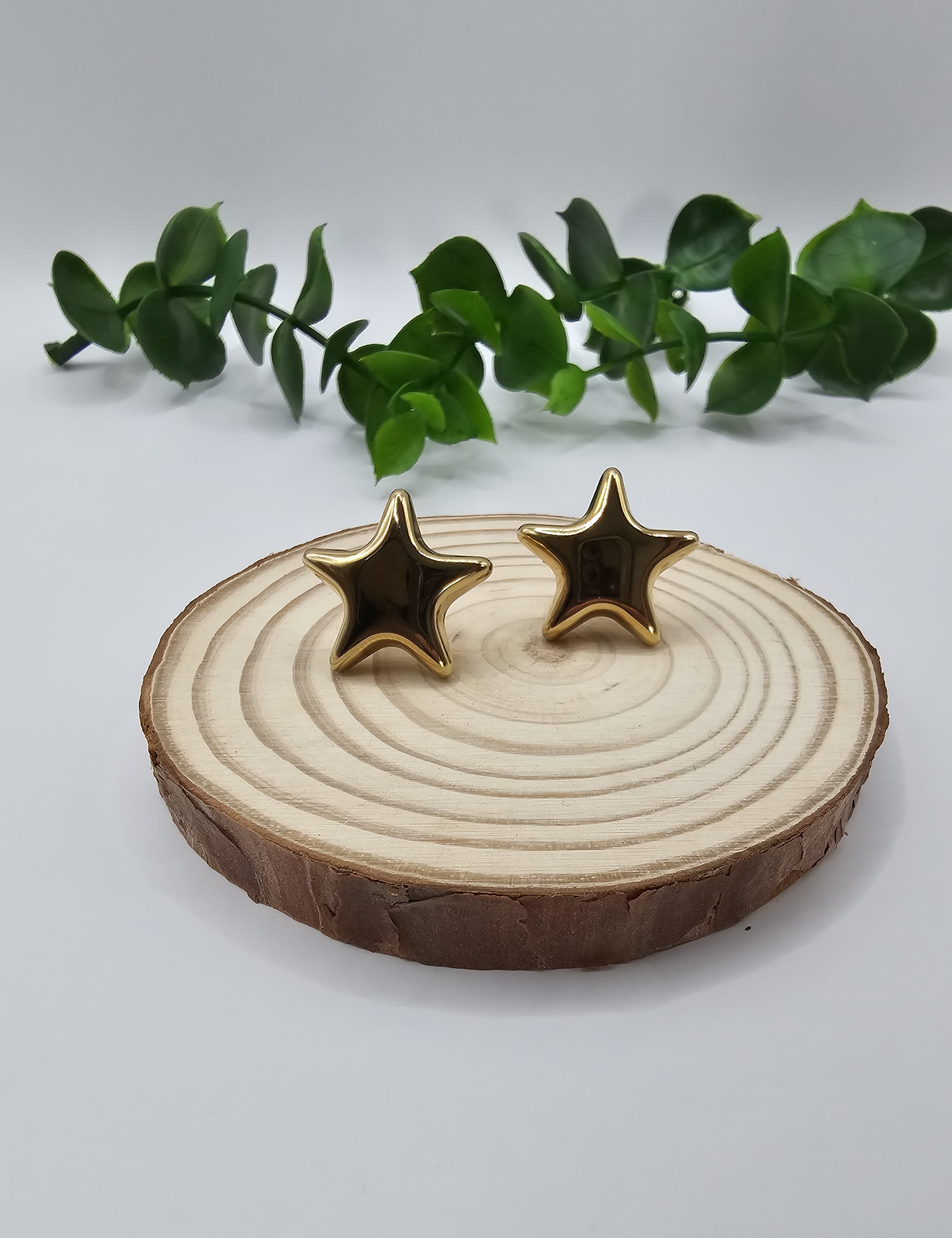 Brincos Estrela